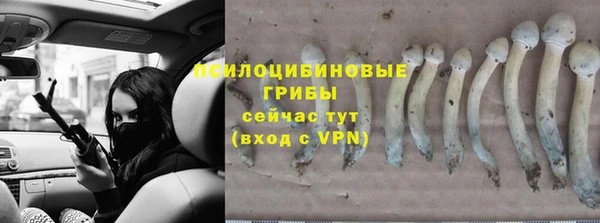 не бодяженный Армянск