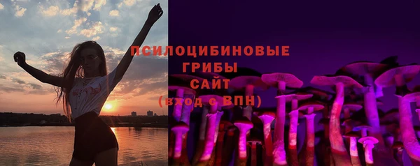 PSILOCYBIN Арсеньев