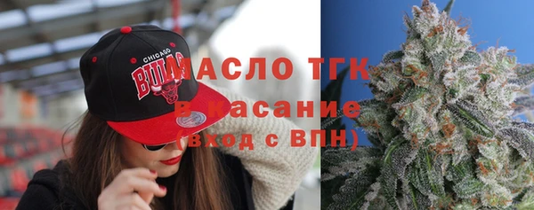 эйфоретик Гусь-Хрустальный