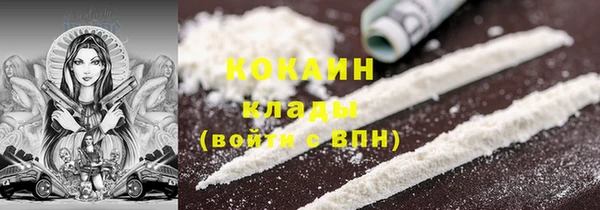 эйфоретик Гусь-Хрустальный