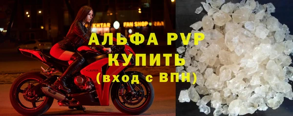 эйфоретик Гусь-Хрустальный
