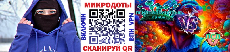 Псилоцибиновые грибы Cubensis где купить наркотик Сковородино