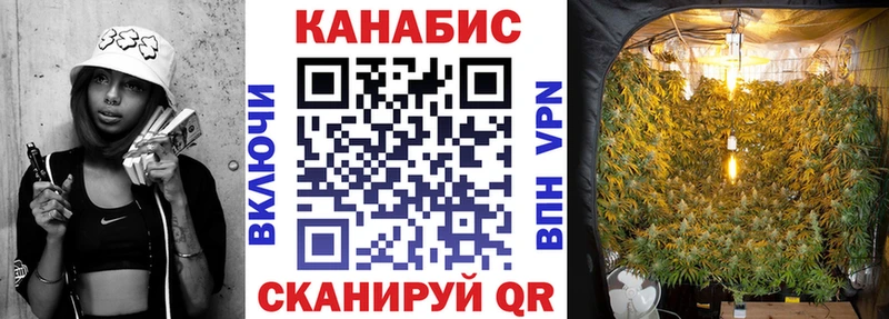 МАРИХУАНА планчик  Сковородино 